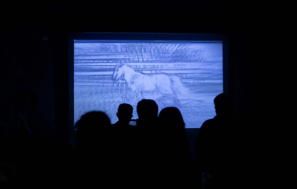 Photo: Emami Art Experimental Film Festival