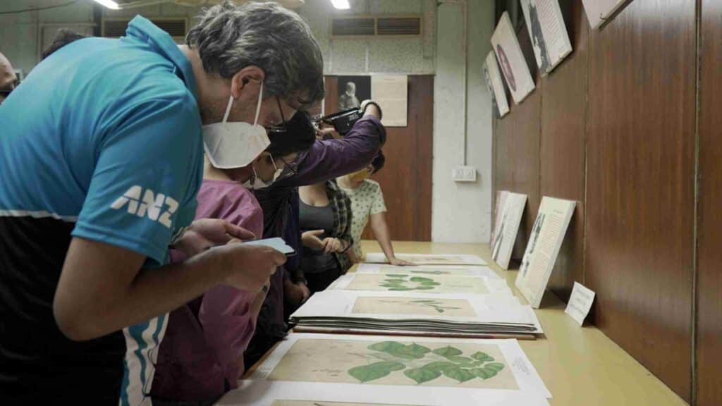 Closer look at nature illustrations at Botanical Gardens. Photo: Parameshwar Haldar