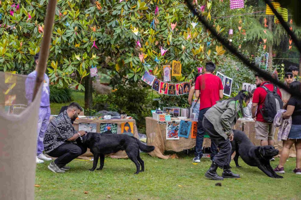 Gaia Festival. Photo: Mitsun Soni