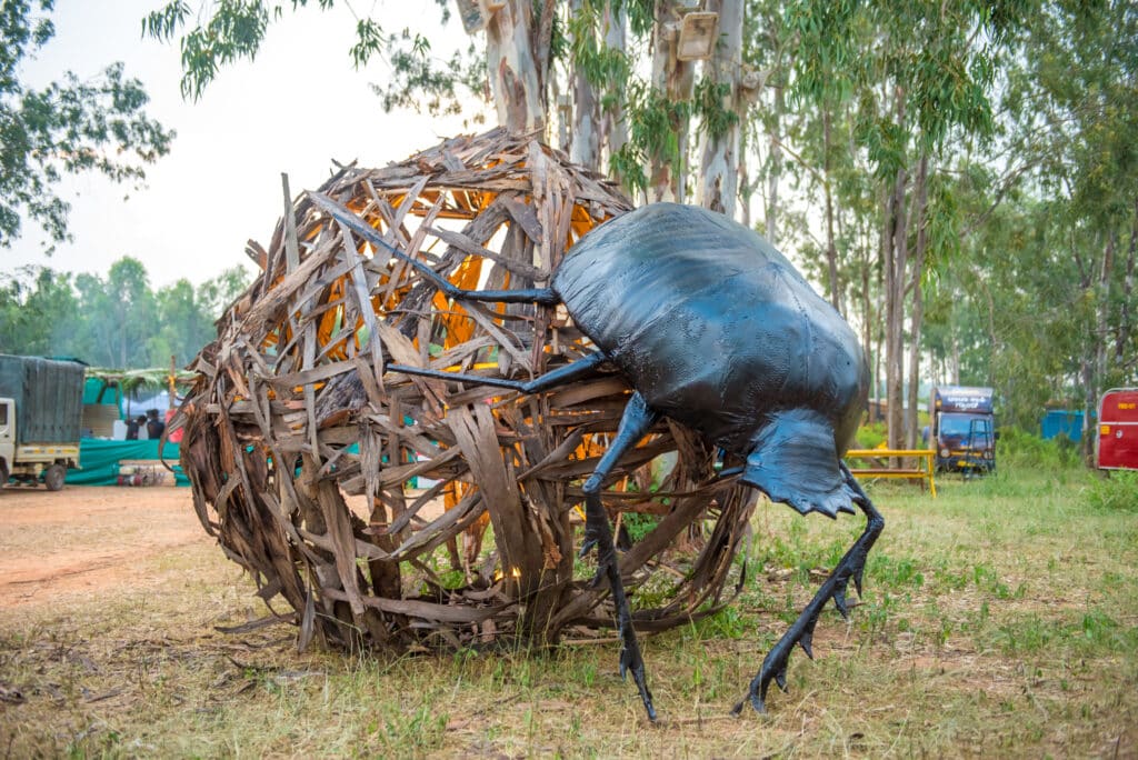 Echoes of Earth मा स्थापना। फोटो: स्वोर्डफिस घटनाक्रम र मनोरन्जन