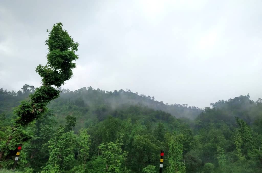 গ্রীনলিটফেস্ট। ছবি: ঋষভ মিডিয়া নেটওয়ার্ক